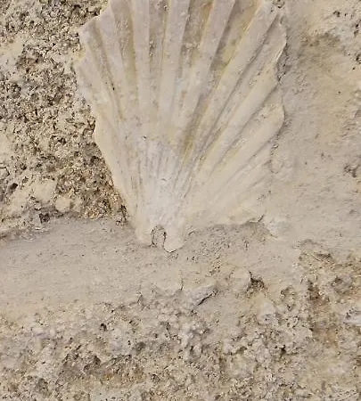 Le Di Roberto Apartamento *